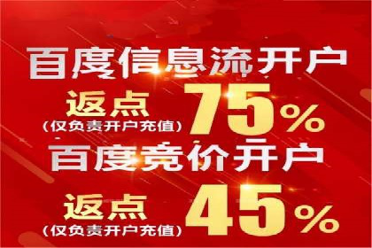 行业领先企业的SEM服务托管策略案例